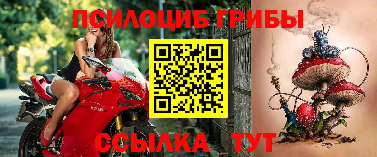 Кингисепп  Галлюциногенные грибы мицелий  Вход с VPN 