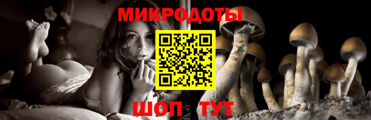 Псилоцибиновые грибы мицелий Кингисепп